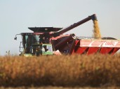 El cálculo de un productor que afirma haber pagado en retenciones más que el valor de su campo