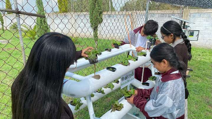 Estudiantes de Técnica 57 cultivan verduras en agua y con energía solar