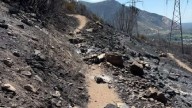 Willard Peak Fire containment increases to 56%; crews gain ground on other Utah fires