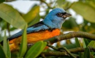 Se pueden ver más de 350 especies de aves: el parque nacional que es una joy