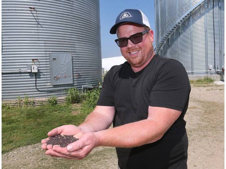 'Hoping for the best' — China's new tariffs cast uncertainty on Essex County canola fields