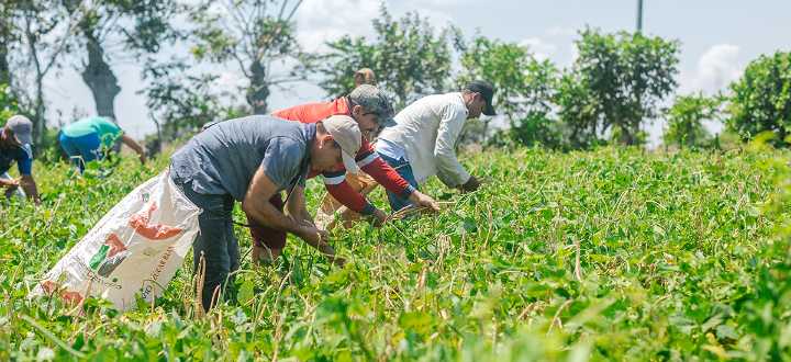 En junio, más de 13 millones de trabajadores siguieron dentro de la informalidad laboral