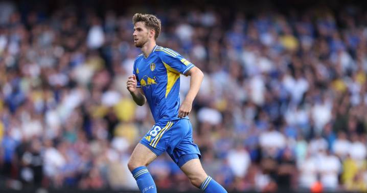 Leeds United sent six-word transfer verdict that speaks volumes for £17m bargain