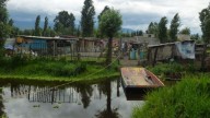 Tiene Xochimilco 290 asentamientos ilegales, cada vez se identifican más parajes