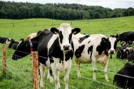 None of your children wants to farm, but you don’t want to sell the land that’s been in your family for generations. What are your options?