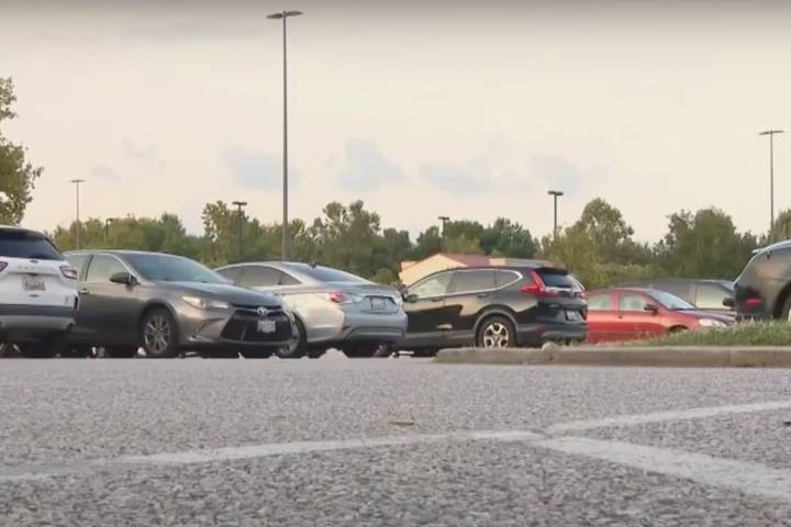93-Year-Old Woman Dies After She's Hit by On