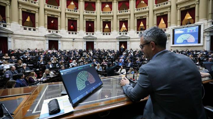 Diputados se prepara para una maratónica sesión con foco en los vetos