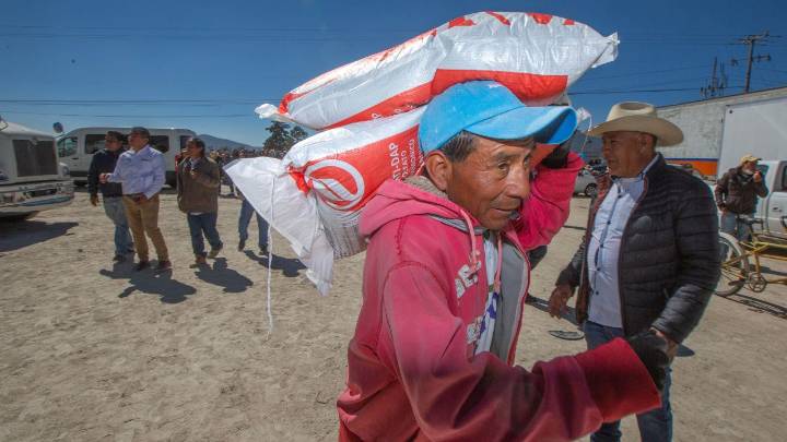 Amplia Agricultura registro al programa fertilizantes para el Bienestar