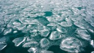 NOAA issues La Niña Watch for this fall and early winter