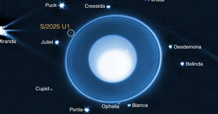 New moon orbiting Uranus is so small, you could walk it in two hours