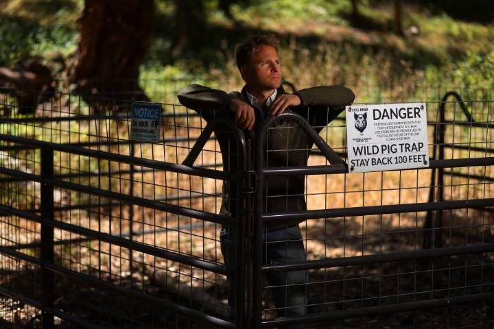 SV Chat: The man who traps the Bay Area’s destructive wild pigs