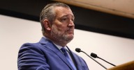 SRE responde a Ted Cruz: ‘La seguridad en México es tarea exclusiva de México’