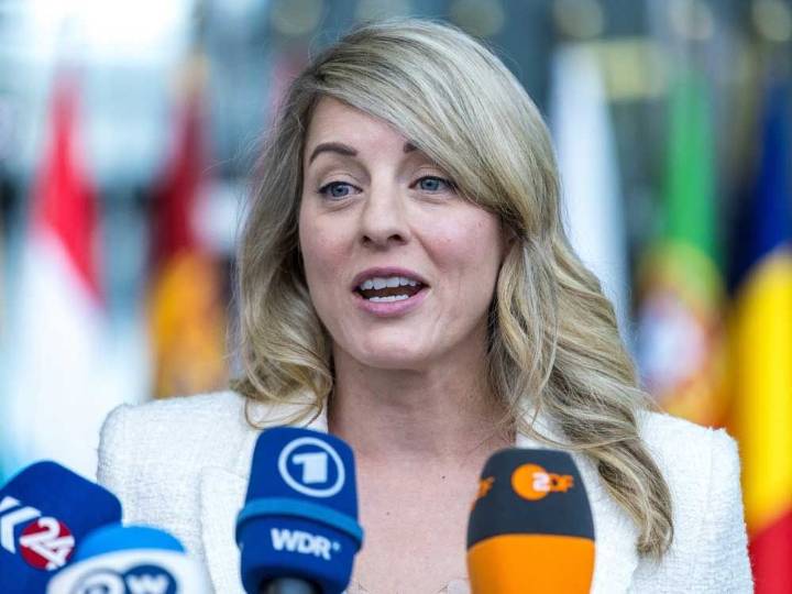 GOLDBERG: Joly makes the right move in trying to lower Canadians’ internet bills