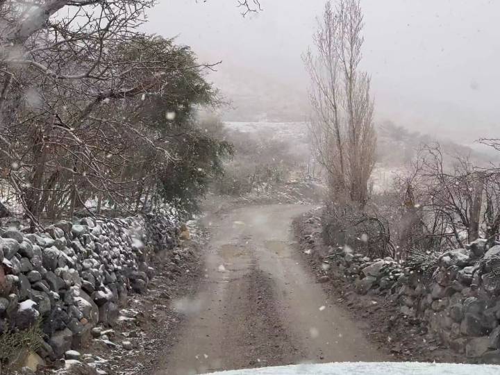 El valle del Elqui se tiñe de blanco: registran caída de nieve en la región de Coquimbo