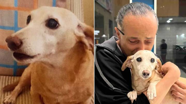 Blind Man From Illinois Can’t Contain His Joy When He Reunites With His Stolen Service Dog After Months Apart