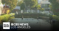 Health officials think cause of dog deaths and illness in Venice could be from the water