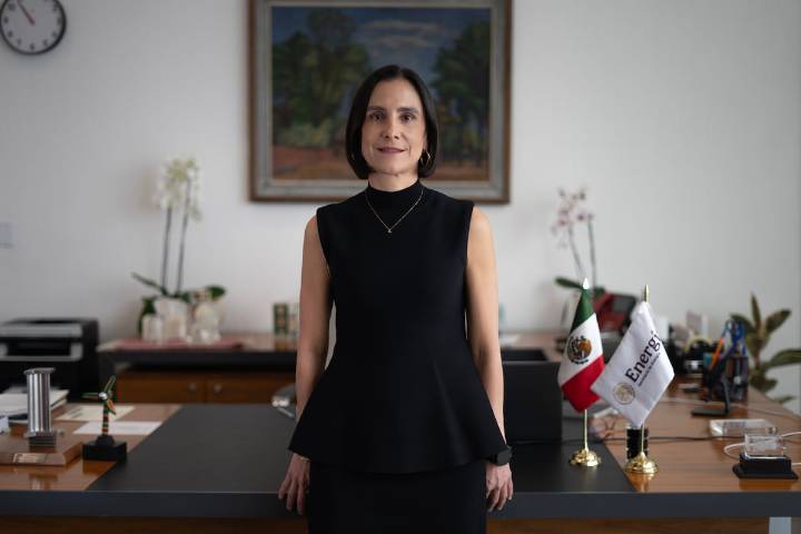 Luz Elena González: “No estamos en contra de la inversión privada, es fuente importante del desarrollo de México”