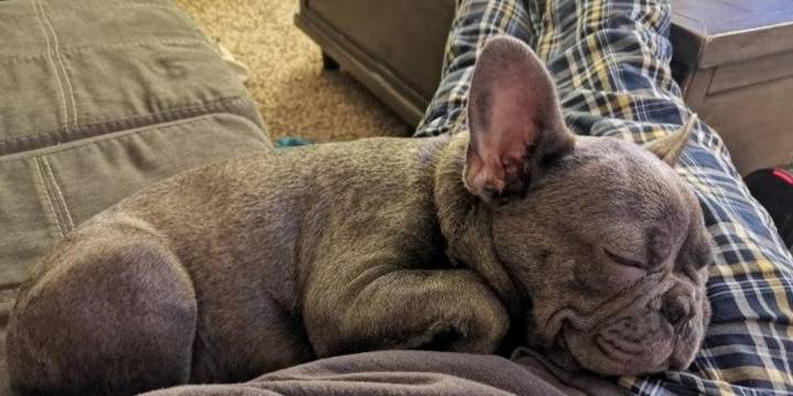 Man loses dog and wife’s ashes in Clermont Co. car theft