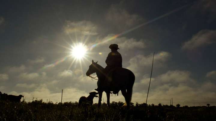 2025 photos of the Week: Best images from FLORIDA TODAY photographers