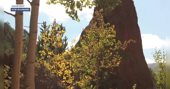 Fall colors are arriving early to Colorado this year and here's why