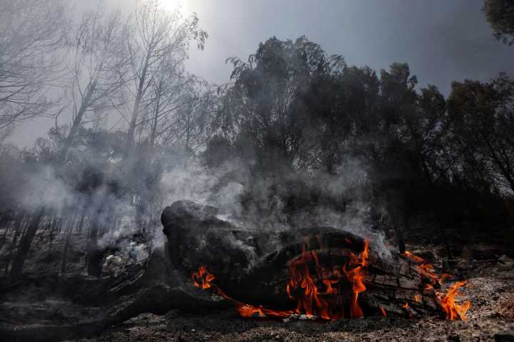Los bomberos avanzan en el control del incendio en Carcastillo, Navarra, cuya causa habría sido "una acción humana"
