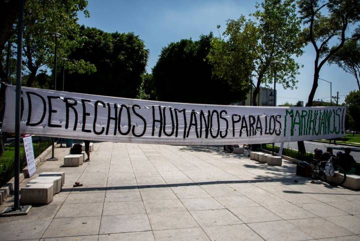 Abren zonas de tolerancia cannábica
