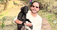 La historia de Barbas, el perrito que era carnada para tiburones y fue adoptado por Alejandro Riaño