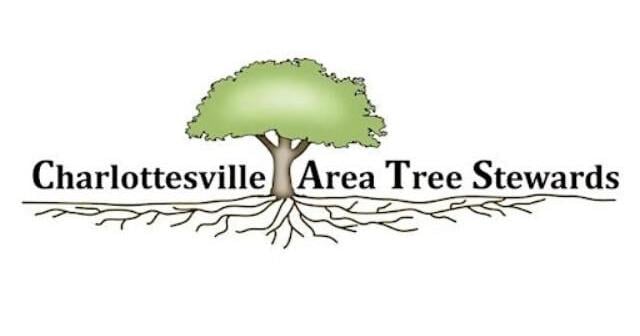 Guided walks on trees, ecosystems, history and more