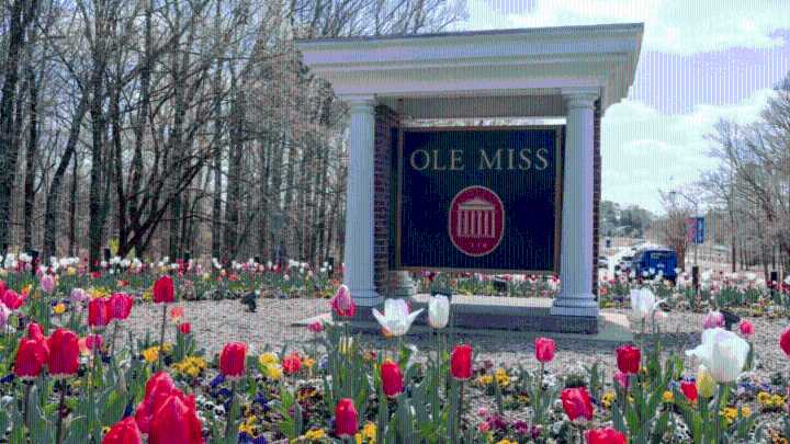 Ole Miss featured on ‘Best 391 Colleges’ list by Princeton Review