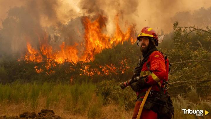 Pirómanos: Hasta 20 años de cárcel para quienes ponen a España en peligro con el fuego