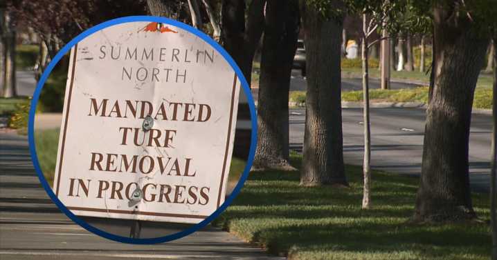 What's the deal with grass lining Summerlin streets amid conservation rules?