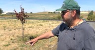 Two years later, Gray Fire survivor rebuilds dream on West Plains
