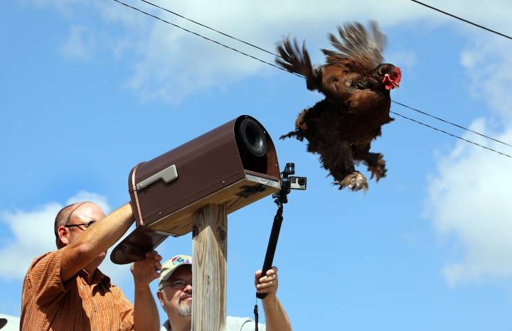 Geauga County Fair ramps up safety measures after Cuyahoga, Summit shootings