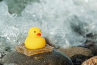 AI-Designed Hydrogel Inspired by Nature Creates Ultra