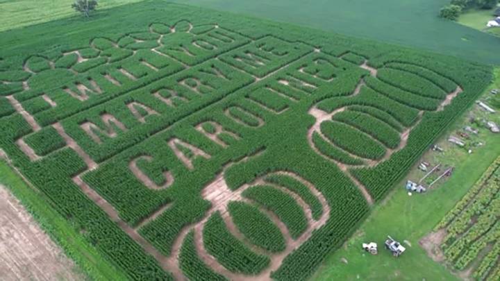 Think wedding proposals are corny? Wait till you see this one