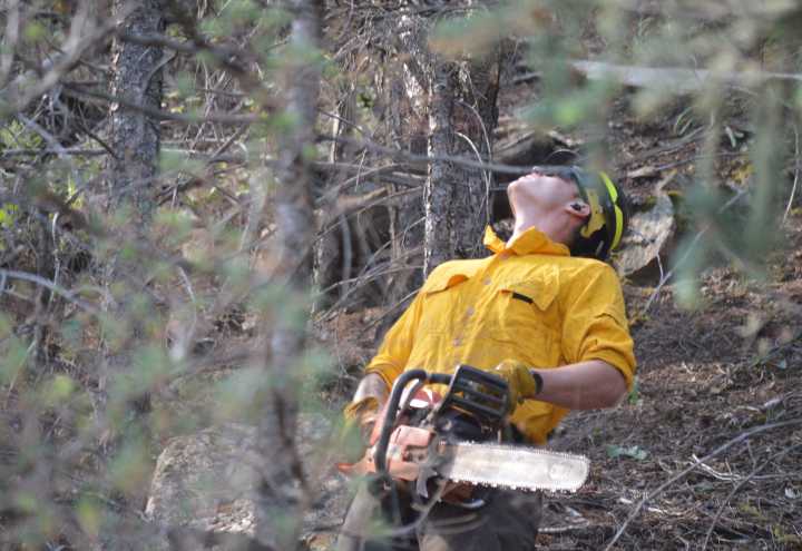 Firefighters remove ‘fuel’ from the forest in Clear Creek