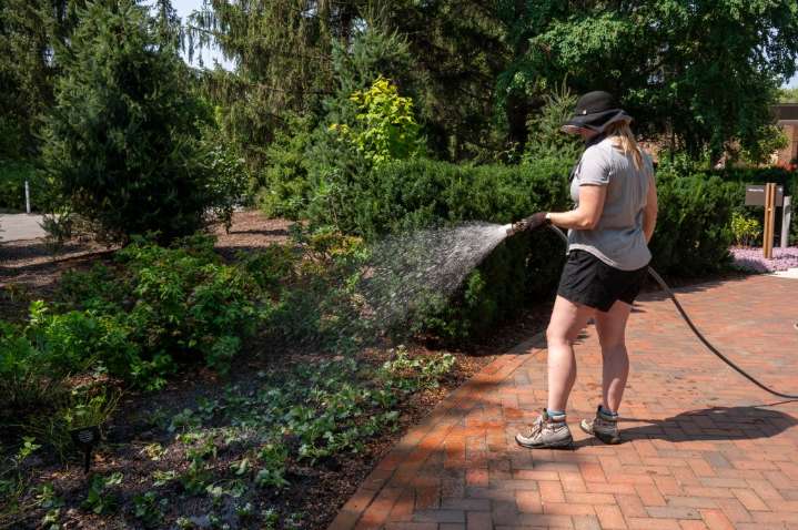 Should I wait until next spring to plant?