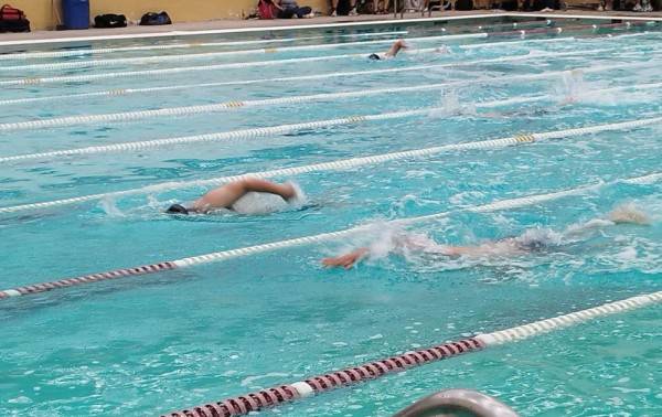 Nadadores de la alberca ‘Lolita Gómez’ se imponen en el SportFest