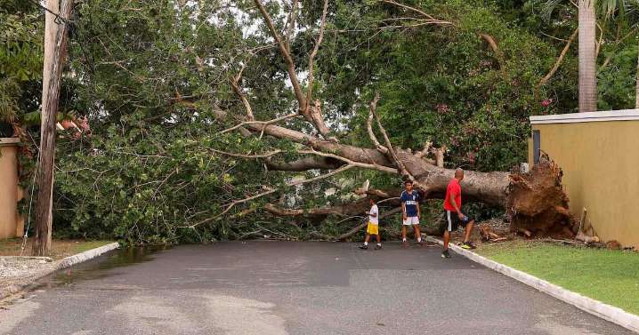 Jamaica to use drones donated by Canada to boost disaster response