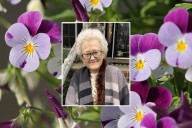 OBITUARY: Linda Lois Holland