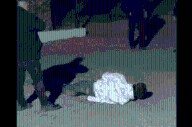 La madre del menor golpeado en Chacras de Coria negó que el chico haya querido colarse a la fiesta