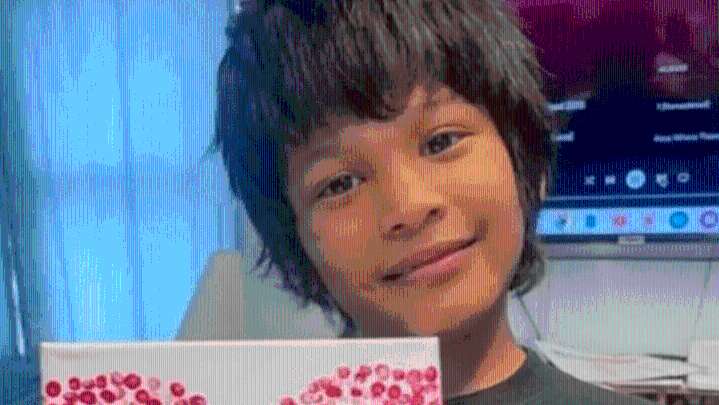 Caimán causa muerte de niño desaparecido en Nueva Orleans