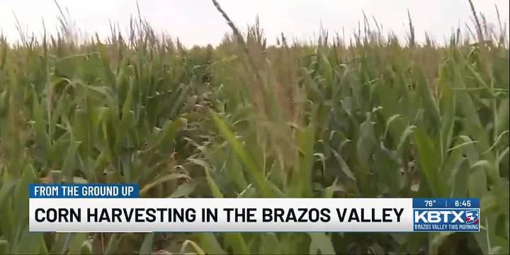 From the Ground Up: Every bushel counts