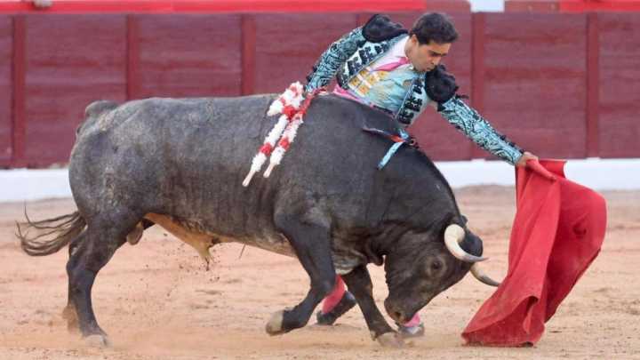 Miguel de Pablo se entrega y abre la puerta grande en Colmenar Viejo