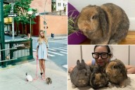 Rabbits used in Anna Delvey photoshoot dumped in Prospect Park, sparking outrage: 'Regret it deeply'