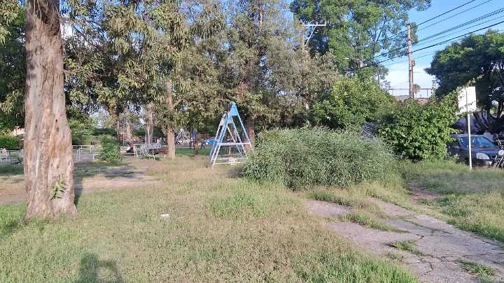 Emblemático Parque San Antonio de Salamanca en descuido