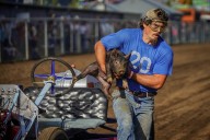 Tillamook celebrates 100 years of Pig