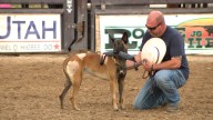 Fallen officers honored at Box Elder County rodeo
