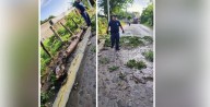 Bomberos de Nayarit realizan acciones ante el temporal de lluvias