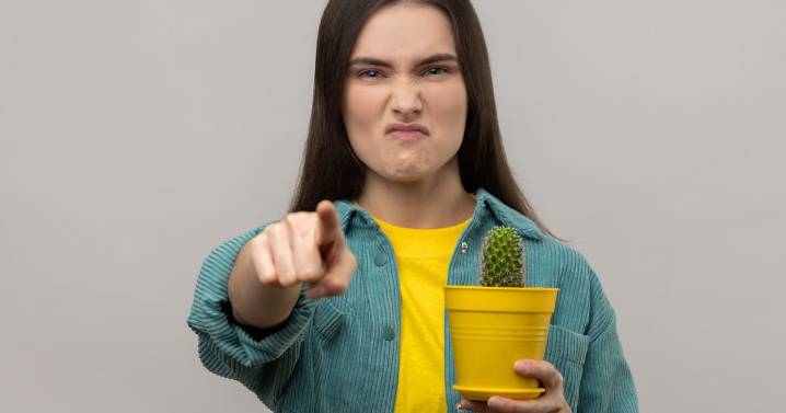 'Neighbour wants me to switch my wifi off because it's distracting her plants'
